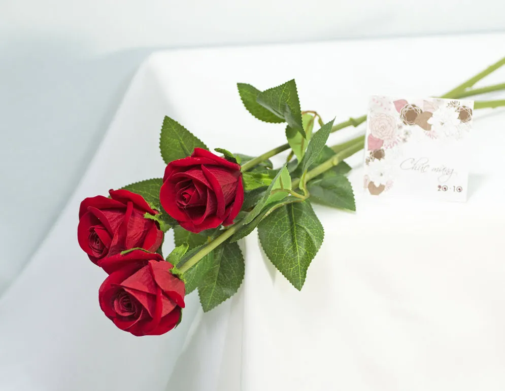 Top 200+ hình nền hoa hồng đỏ đẹp, độc lạ nhất định bạn phải xem 200 hinh nen hoa hong do dep nhat 2025027