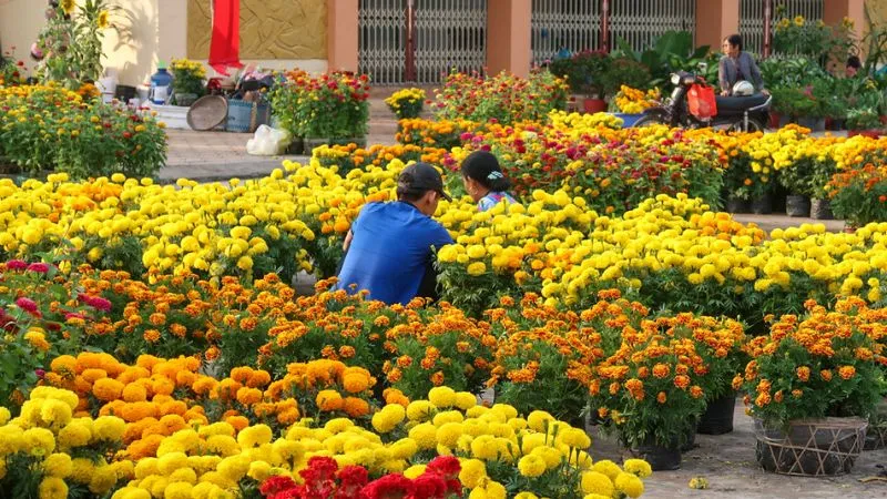 Tuyen chon 60 hinh anh tet dep 2025 nhin la thay tet ngay 11