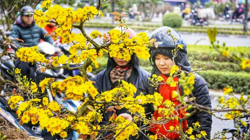 Tuyen chon 60 hinh anh tet dep 2025 nhin la thay tet ngay 13
