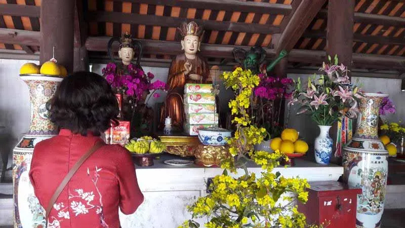 Tuyen chon 60 hinh anh tet dep 2025 nhin la thay tet ngay 27