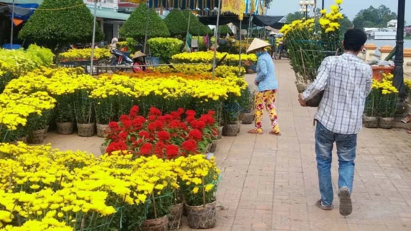 Tuyen chon 60 hinh anh tet dep 2025 nhin la thay tet ngay 36