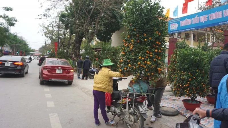 Tuyen chon 60 hinh anh tet dep 2025 nhin la thay tet ngay 37