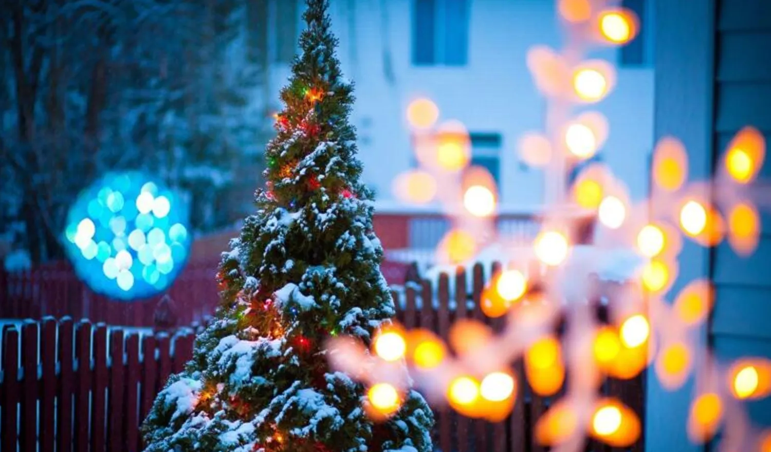Cây thông Noel bên ngoài cửa sổ