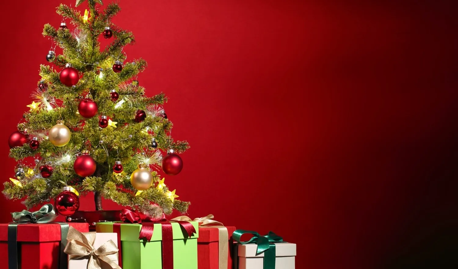 Hình ảnh cây thông Noel 4K sắc nét