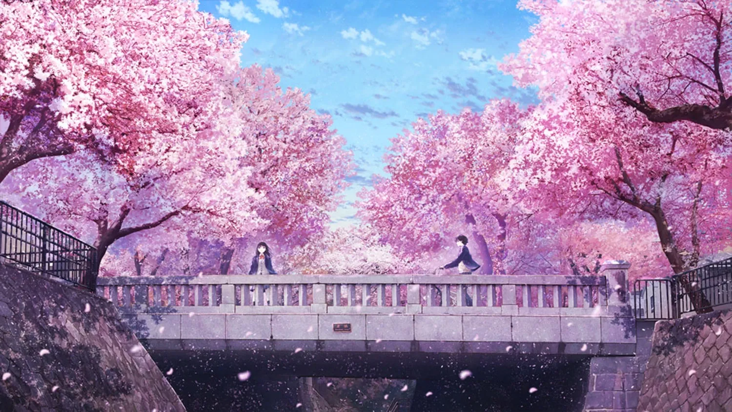Hình nền Anime phong cảnh hoa anh đào