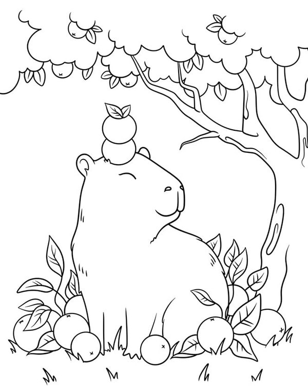 100+ Tranh Tô Màu Capybara Cute: Từ Dễ Đến Khó, Phù Hợp Mọi Lứa Tuổi! 100 tranh to mau capybara cute tu de den kho phu hop moi lua tuoi 11999 11