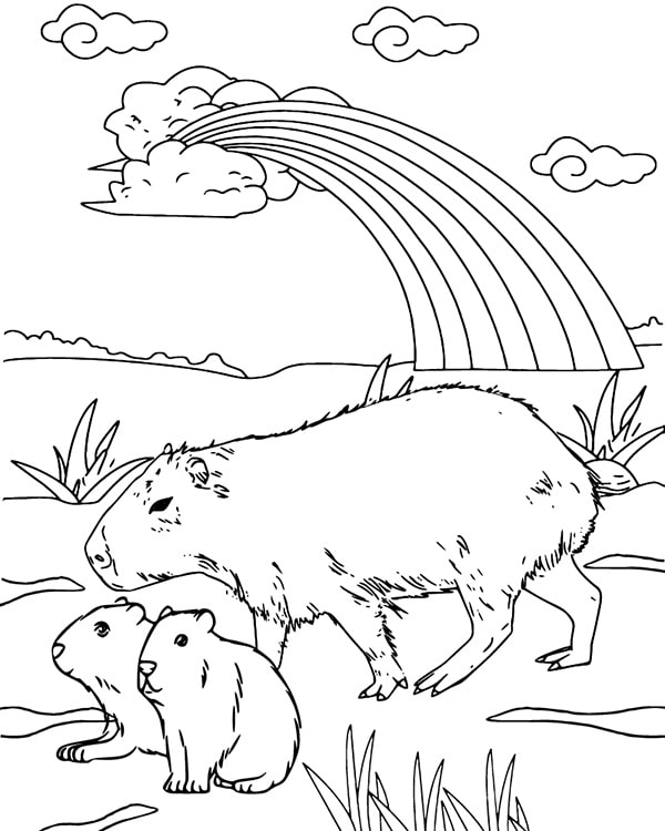 100+ Tranh Tô Màu Capybara Cute: Từ Dễ Đến Khó, Phù Hợp Mọi Lứa Tuổi! 100 tranh to mau capybara cute tu de den kho phu hop moi lua tuoi 11999 12
