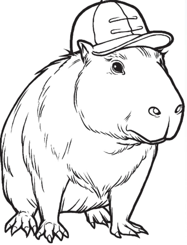 100+ Tranh Tô Màu Capybara Cute: Từ Dễ Đến Khó, Phù Hợp Mọi Lứa Tuổi! 100 tranh to mau capybara cute tu de den kho phu hop moi lua tuoi 11999 19