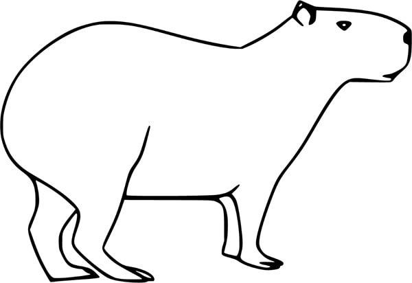 100+ Tranh Tô Màu Capybara Cute: Từ Dễ Đến Khó, Phù Hợp Mọi Lứa Tuổi! 100 tranh to mau capybara cute tu de den kho phu hop moi lua tuoi 11999 4