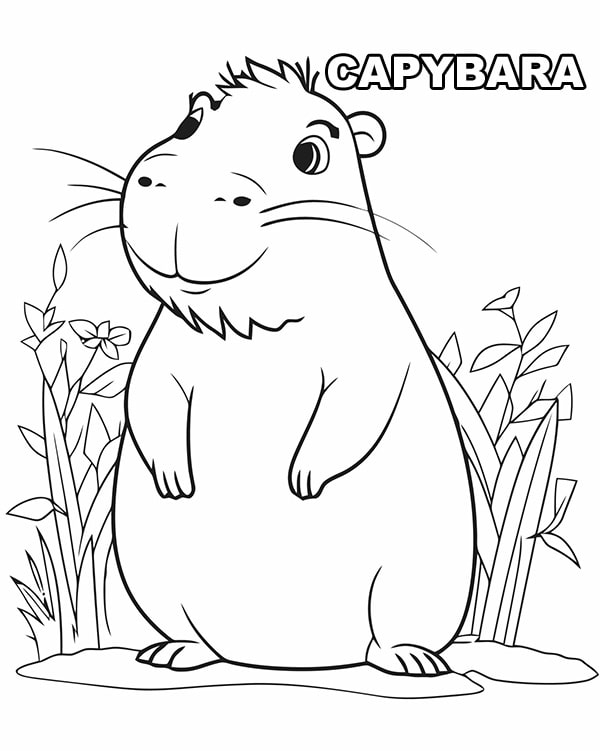 100+ Tranh Tô Màu Capybara Cute: Từ Dễ Đến Khó, Phù Hợp Mọi Lứa Tuổi! 100 tranh to mau capybara cute tu de den kho phu hop moi lua tuoi 11999