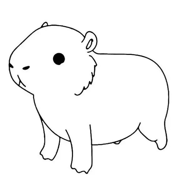 100+ Tranh Tô Màu Capybara Cute: Từ Dễ Đến Khó, Phù Hợp Mọi Lứa Tuổi! tranh to mau Capybara cute cho be thoa suc sang tao06