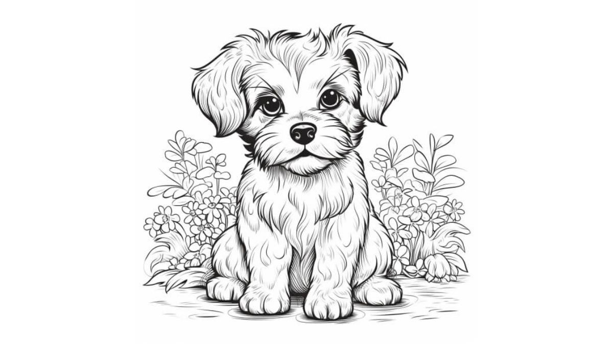 tải Bộ tranh tô màu cho bé cute hot trend tải Bộ tranh tô màu cho bé cute hot trend