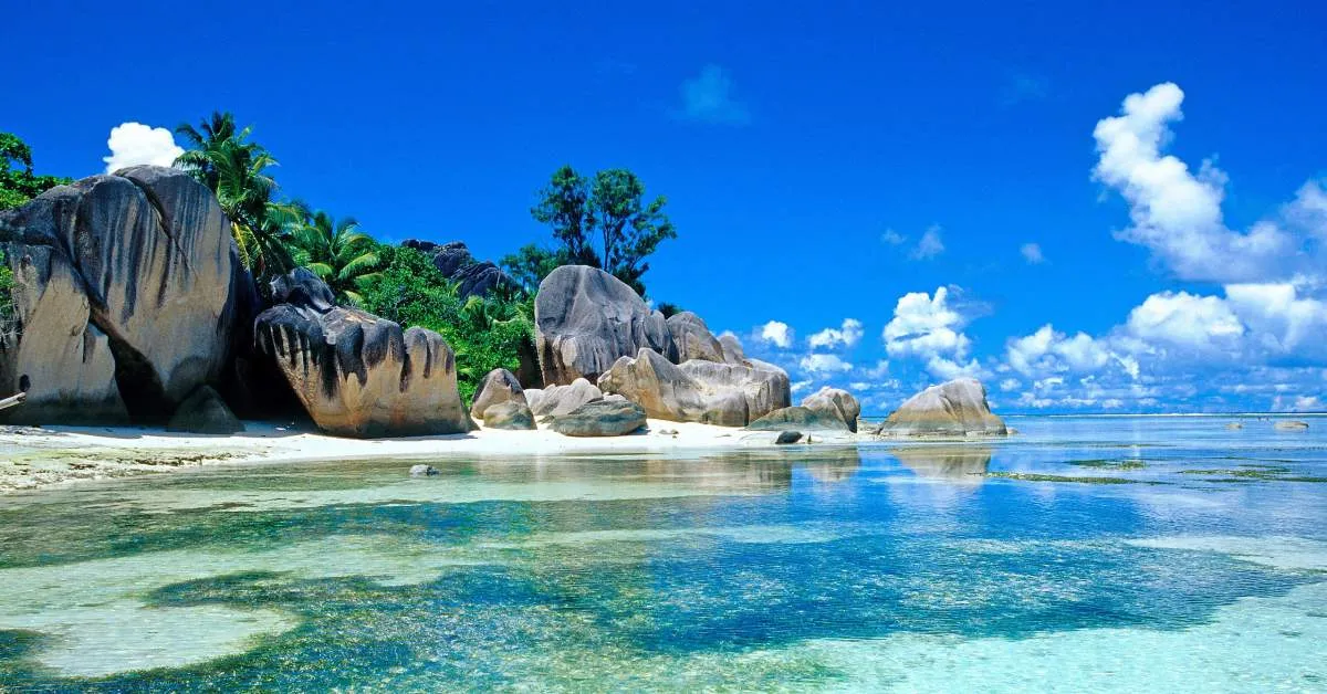 Chỉ cần thay đổi hình nền biển đẹp trên điện thoại hoặc máy tính, bạn đã có thể mang cả đại dương vào cuộc sống thường nhật