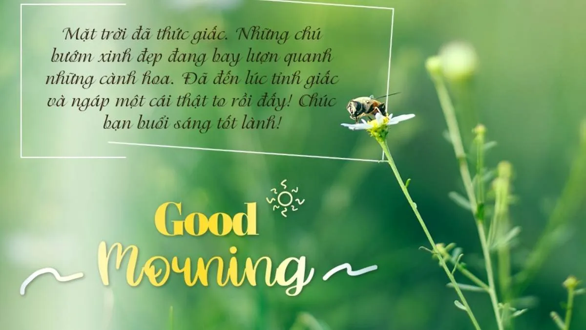 40+ Hình ảnh chào ngày mới, chúc ngày mới, chào buổi sáng ý nghĩa Hinh anh chao ngay moi chuc ngay moi chao buoi sang091