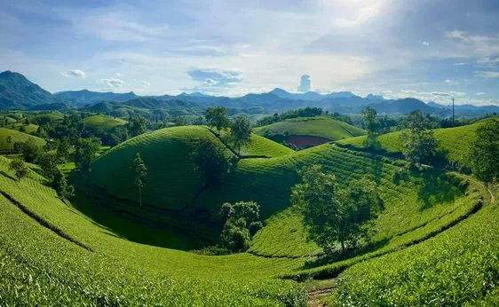 Hinh nen mau xanh innhanh.pro .vn 75