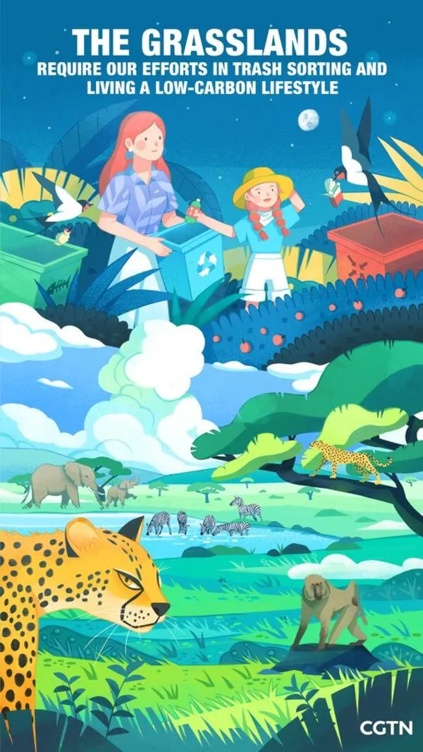Bộ Poster Bảo Vệ Môi Trường Đẹp Nhất, Thông Điệp Mạnh Mẽ! Poster bao ve moi truong innhanh.pro .vn31
