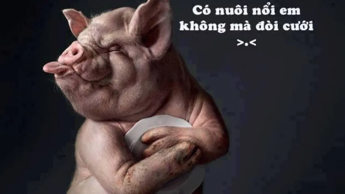 88+ Hình Ảnh Hài Hước, Bựa Bá Đạo Nhất - Cho Điện Thoại & PC! Tải Ngay! hinh anh hai huoc Innhanh.pro .vn02