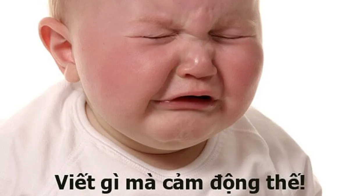 88+ Hình Ảnh Hài Hước, Bựa Bá Đạo Nhất - Cho Điện Thoại & PC! Tải Ngay! hinh anh hai huoc Innhanh.pro .vn05
