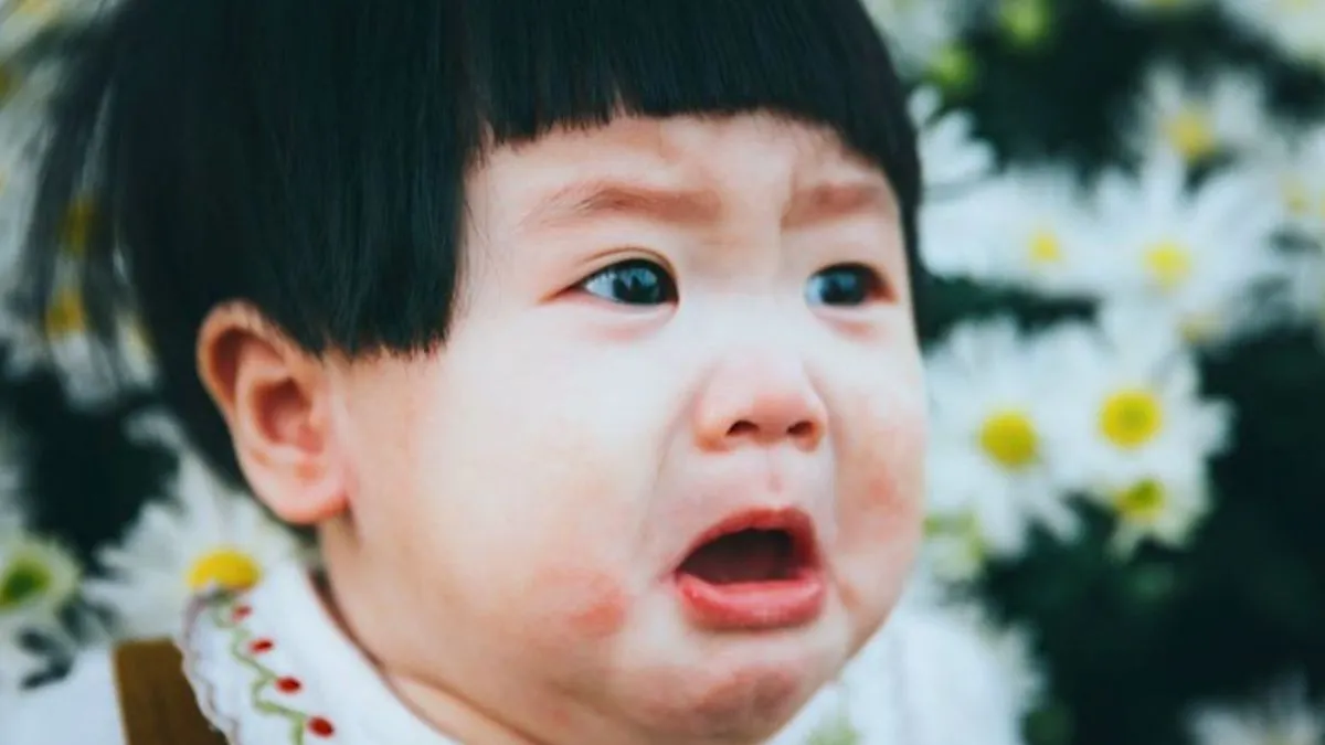 88+ Hình Ảnh Hài Hước, Bựa Bá Đạo Nhất - Cho Điện Thoại & PC! Tải Ngay! hinh anh hai huoc Innhanh.pro .vn84