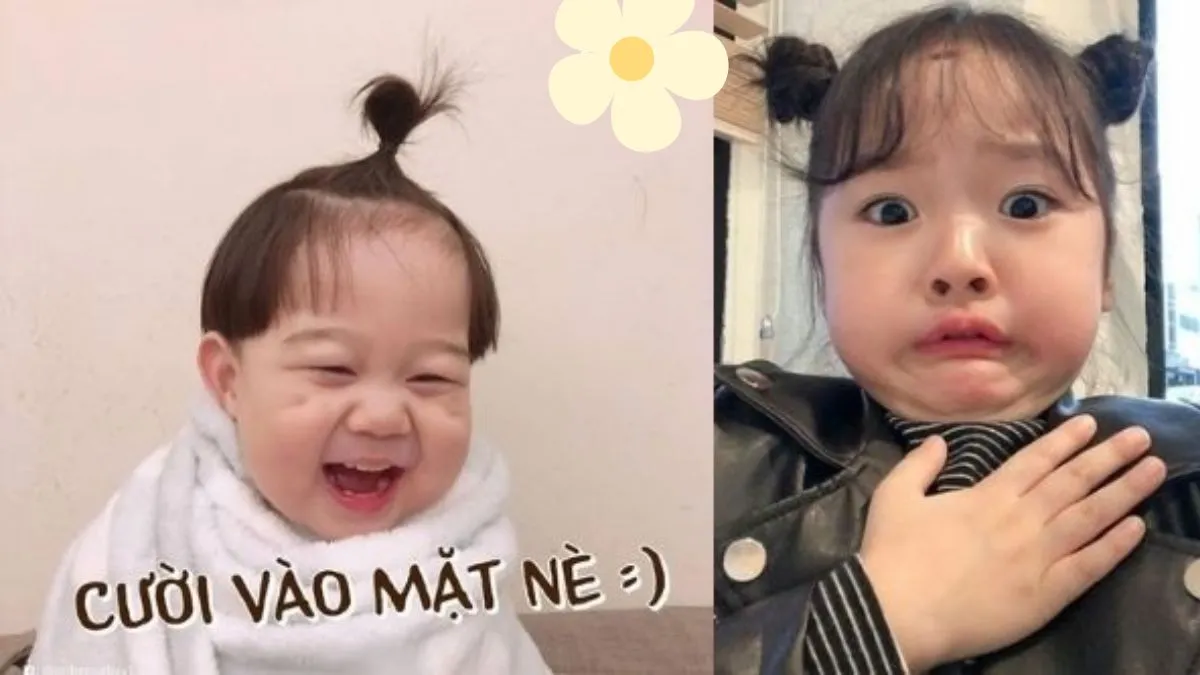 88+ Hình Ảnh Hài Hước, Bựa Bá Đạo Nhất - Cho Điện Thoại & PC! Tải Ngay! hinh anh hai huoc Innhanh.pro .vn90
