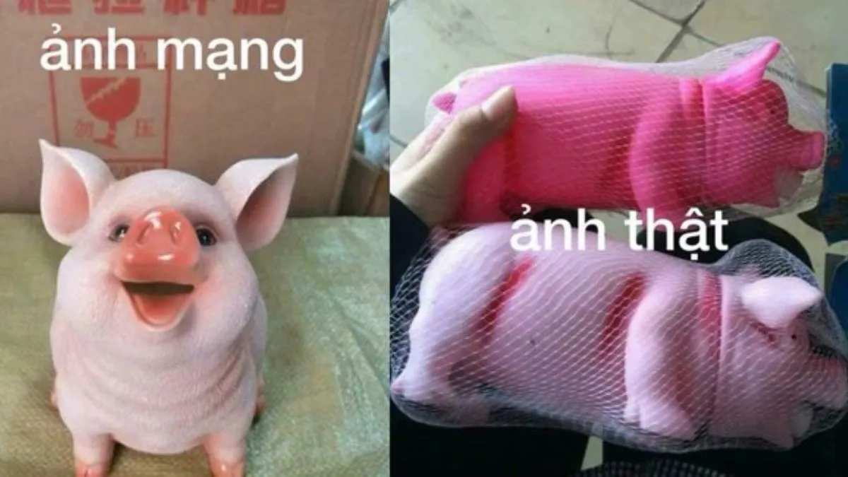 88+ Hình Ảnh Hài Hước, Bựa Bá Đạo Nhất - Cho Điện Thoại & PC! Tải Ngay! hinh anh hai huoc Innhanh.pro .vn92