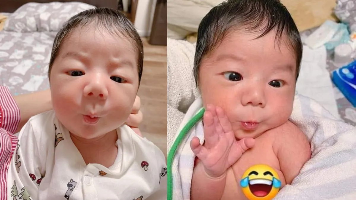 88+ Hình Ảnh Hài Hước, Bựa Bá Đạo Nhất - Cho Điện Thoại & PC! Tải Ngay! hinh anh hai huoc Innhanh.pro .vn96