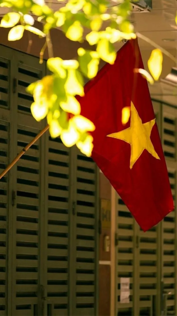 90+ Hình ảnh lá cờ Việt Nam: Rực Rỡ Niềm Tự Hào, Ấn Tượng Sâu Sắc! hinh anh la co Viet Nam innhanh.pro .vn12