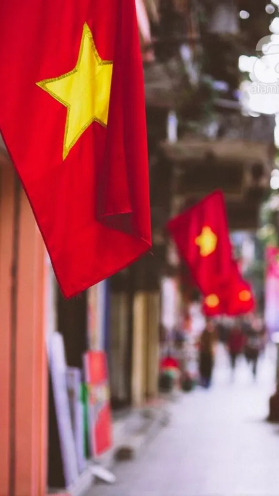 90+ Hình ảnh lá cờ Việt Nam: Rực Rỡ Niềm Tự Hào, Ấn Tượng Sâu Sắc! hinh anh la co Viet Nam innhanh.pro .vn33
