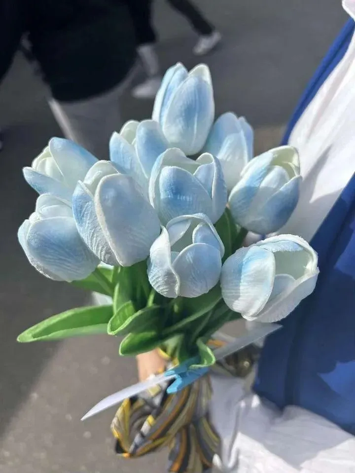 Bộ Sưu Tập 80+ Hình Nền Hoa Tulip Trendy Nhất 2025 hinh nen hoa tulip innhanh.pro .vn 106