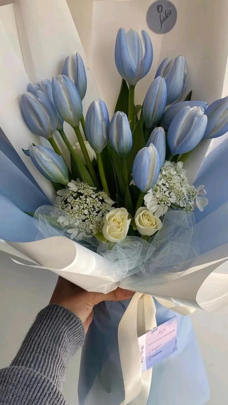 Bộ Sưu Tập 80+ Hình Nền Hoa Tulip Trendy Nhất 2025 hinh nen hoa tulip innhanh.pro .vn 107