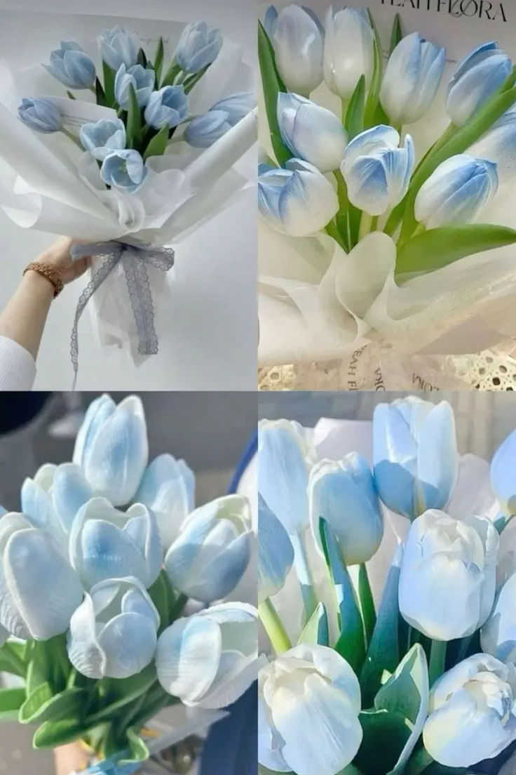 Bộ Sưu Tập 80+ Hình Nền Hoa Tulip Trendy Nhất 2025 hinh nen hoa tulip innhanh.pro .vn 109