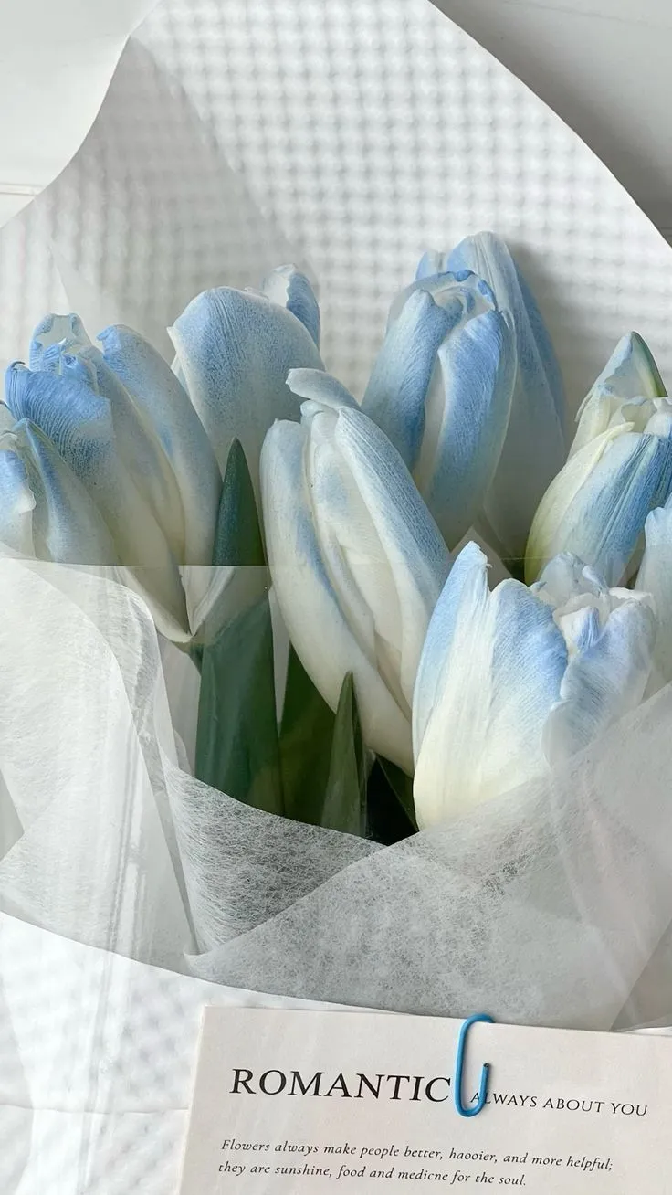 Bộ Sưu Tập 80+ Hình Nền Hoa Tulip Trendy Nhất 2025 hinh nen hoa tulip innhanh.pro .vn 110