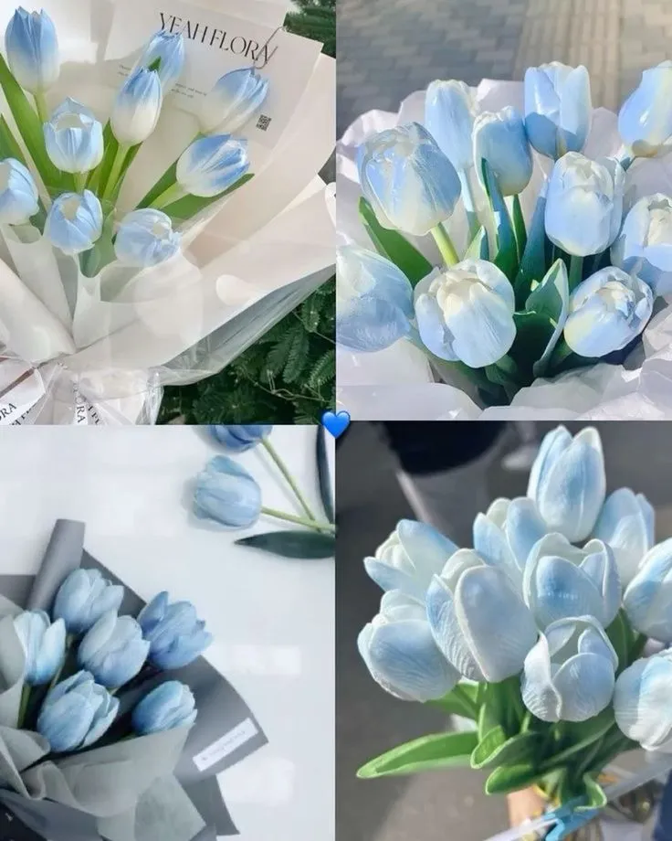 Bộ Sưu Tập 80+ Hình Nền Hoa Tulip Trendy Nhất 2025 hinh nen hoa tulip innhanh.pro .vn 111