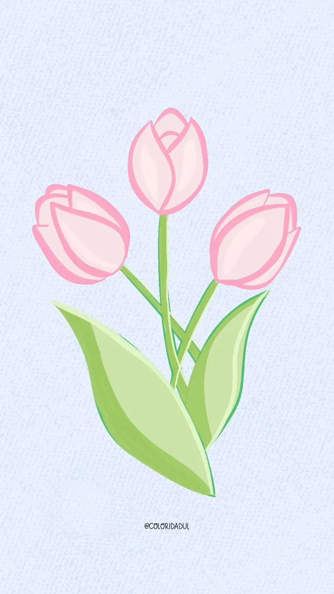 Bộ Sưu Tập 80+ Hình Nền Hoa Tulip Trendy Nhất 2025 hinh nen hoa tulip innhanh.pro .vn 116