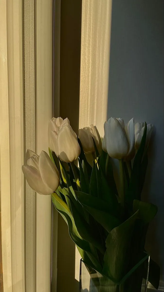 Bộ Sưu Tập 80+ Hình Nền Hoa Tulip Trendy Nhất 2025 hinh nen hoa tulip innhanh.pro .vn 120