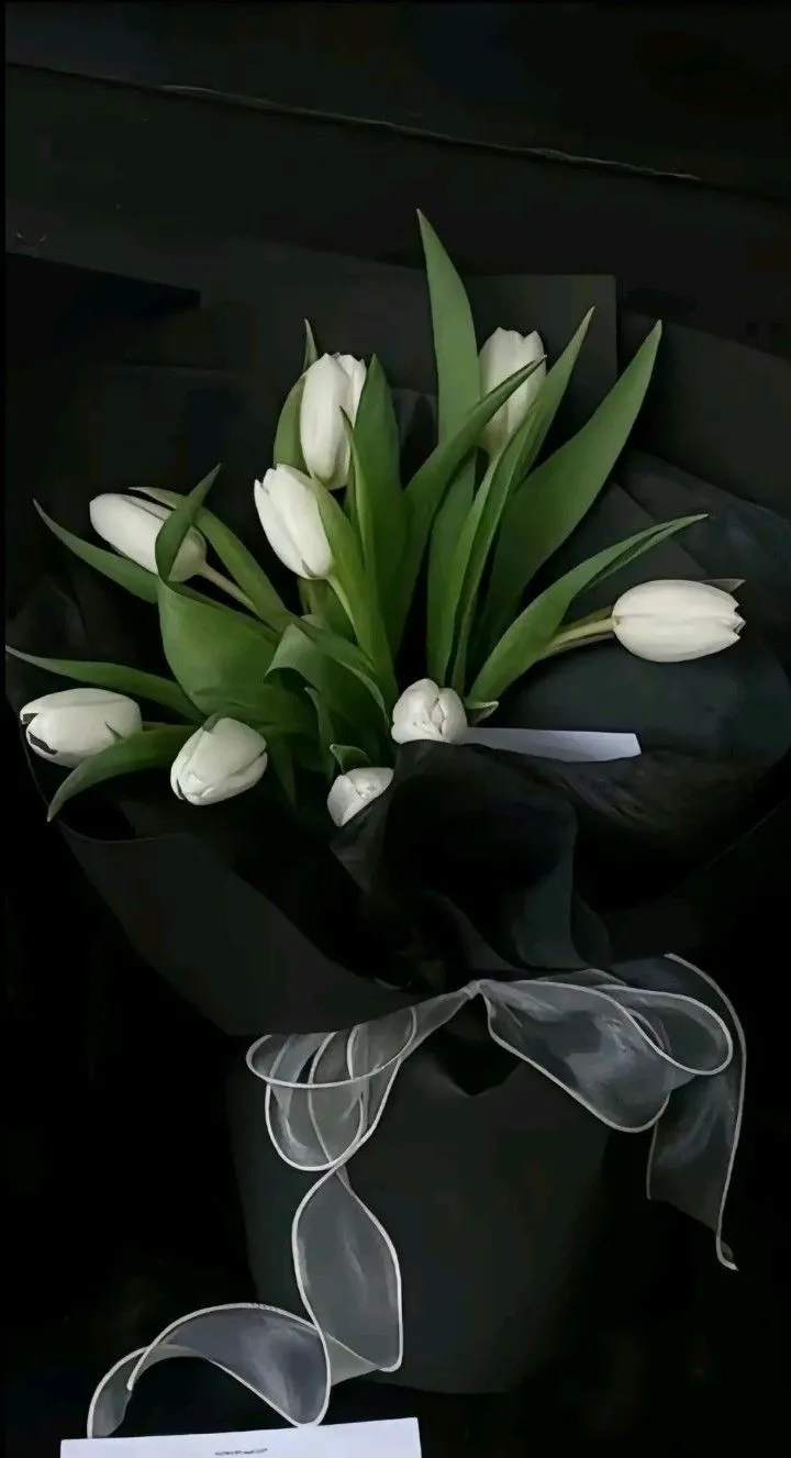 Bộ Sưu Tập 80+ Hình Nền Hoa Tulip Trendy Nhất 2025 hinh nen hoa tulip innhanh.pro .vn 121