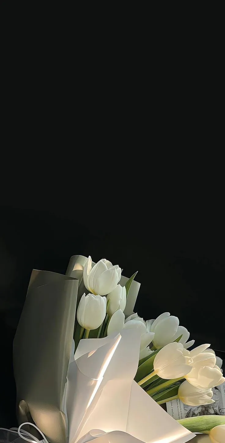 Bộ Sưu Tập 80+ Hình Nền Hoa Tulip Trendy Nhất 2025 hinh nen hoa tulip innhanh.pro .vn 122