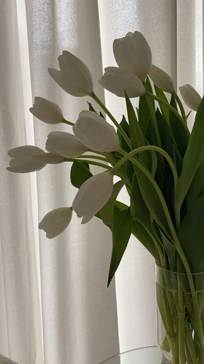 Bộ Sưu Tập 80+ Hình Nền Hoa Tulip Trendy Nhất 2025 hinh nen hoa tulip innhanh.pro .vn 124