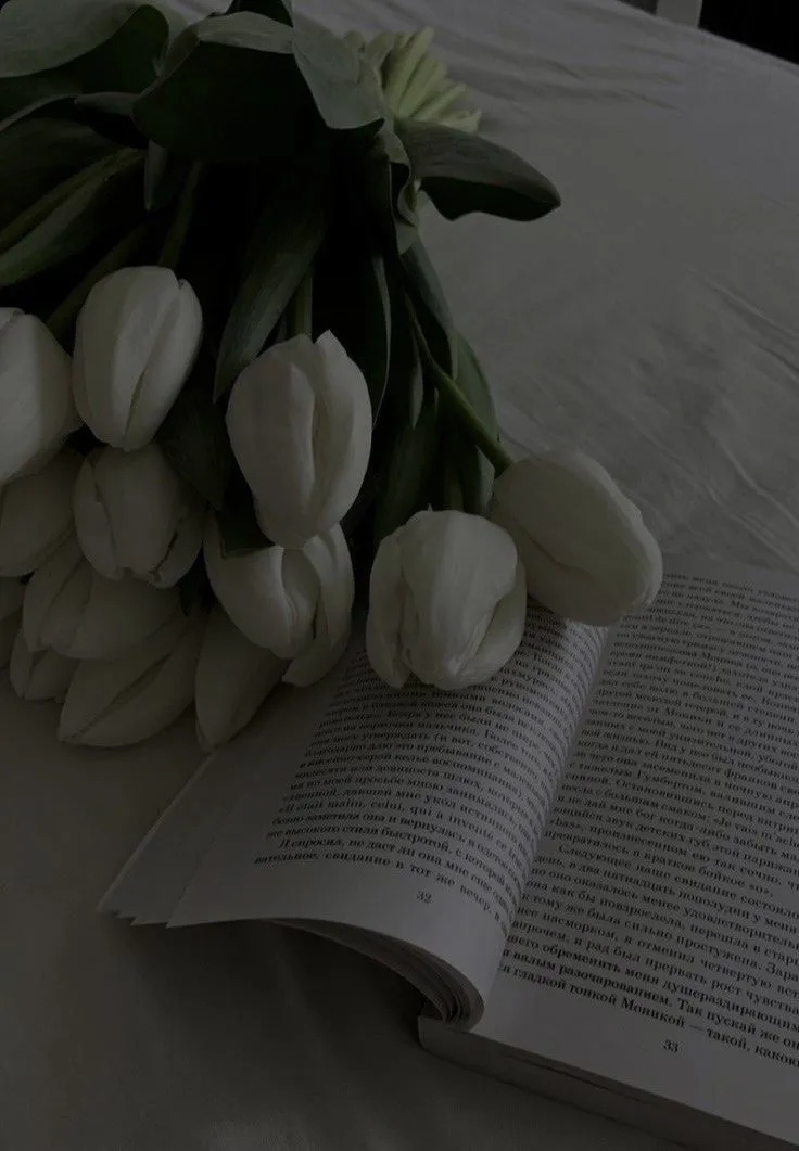 Bộ Sưu Tập 80+ Hình Nền Hoa Tulip Trendy Nhất 2025 hinh nen hoa tulip innhanh.pro .vn 126