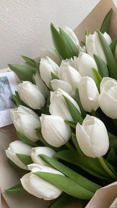 Bộ Sưu Tập 80+ Hình Nền Hoa Tulip Trendy Nhất 2025 hinh nen hoa tulip innhanh.pro .vn 71
