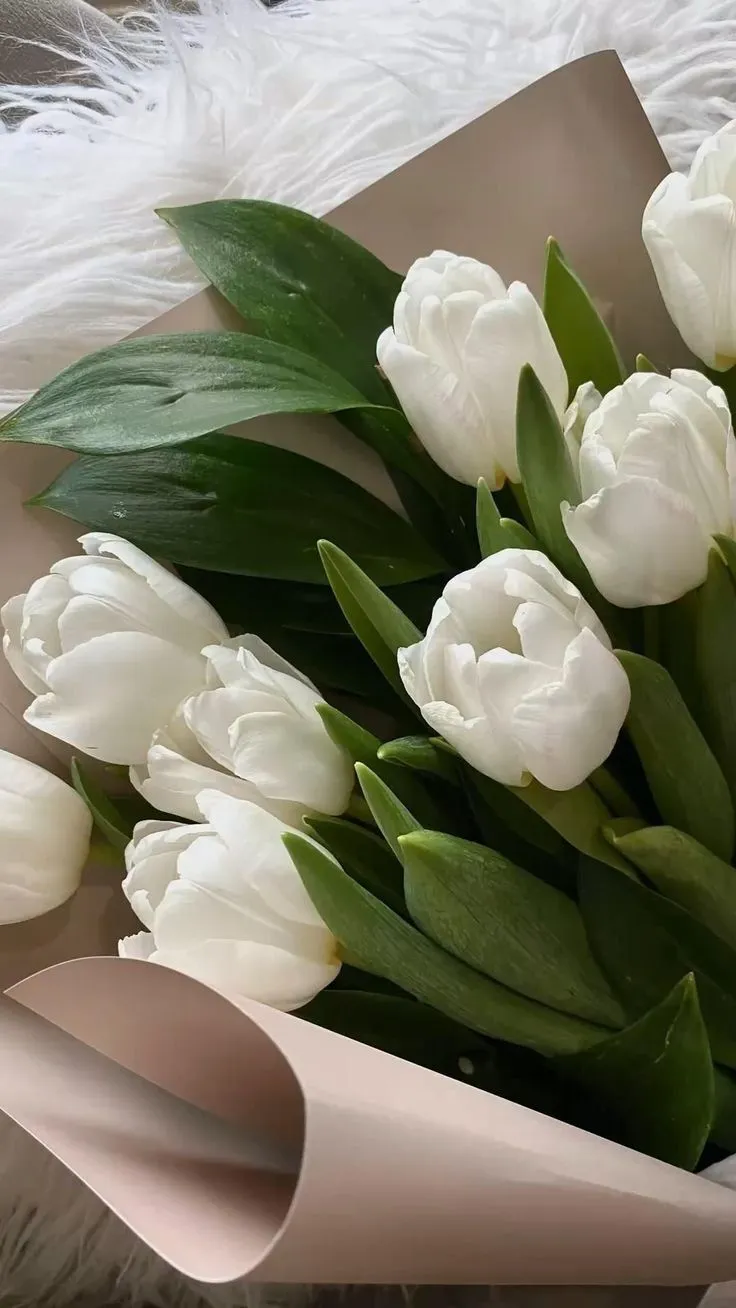 Bộ Sưu Tập 80+ Hình Nền Hoa Tulip Trendy Nhất 2025 hinh nen hoa tulip innhanh.pro .vn 72