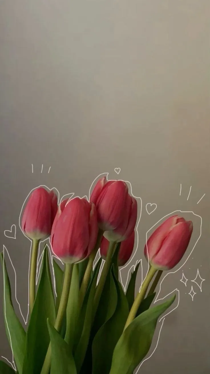 Bộ Sưu Tập 80+ Hình Nền Hoa Tulip Trendy Nhất 2025 hinh nen hoa tulip innhanh.pro .vn 79