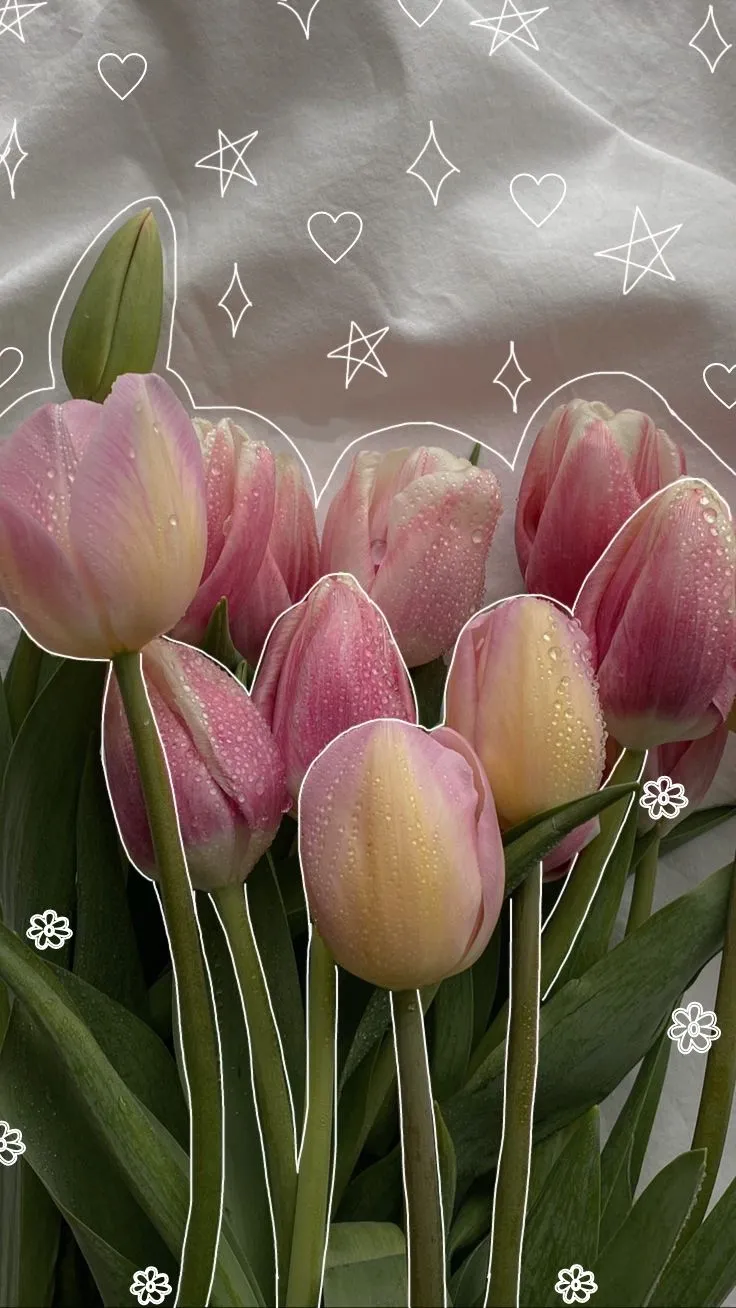 Bộ Sưu Tập 80+ Hình Nền Hoa Tulip Trendy Nhất 2025 hinh nen hoa tulip innhanh.pro .vn 84