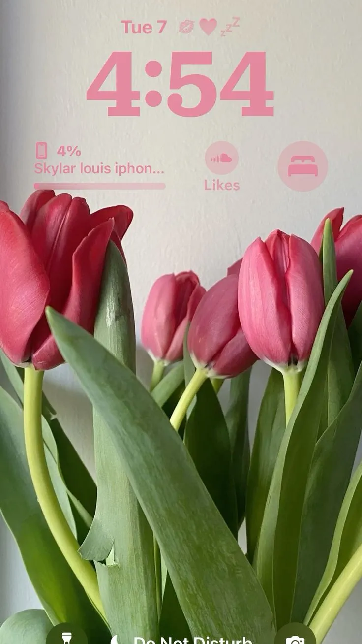 Bộ Sưu Tập 80+ Hình Nền Hoa Tulip Trendy Nhất 2025 hinh nen hoa tulip innhanh.pro .vn 85