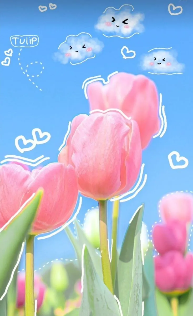 Bộ Sưu Tập 80+ Hình Nền Hoa Tulip Trendy Nhất 2025 hinh nen hoa tulip innhanh.pro .vn 86