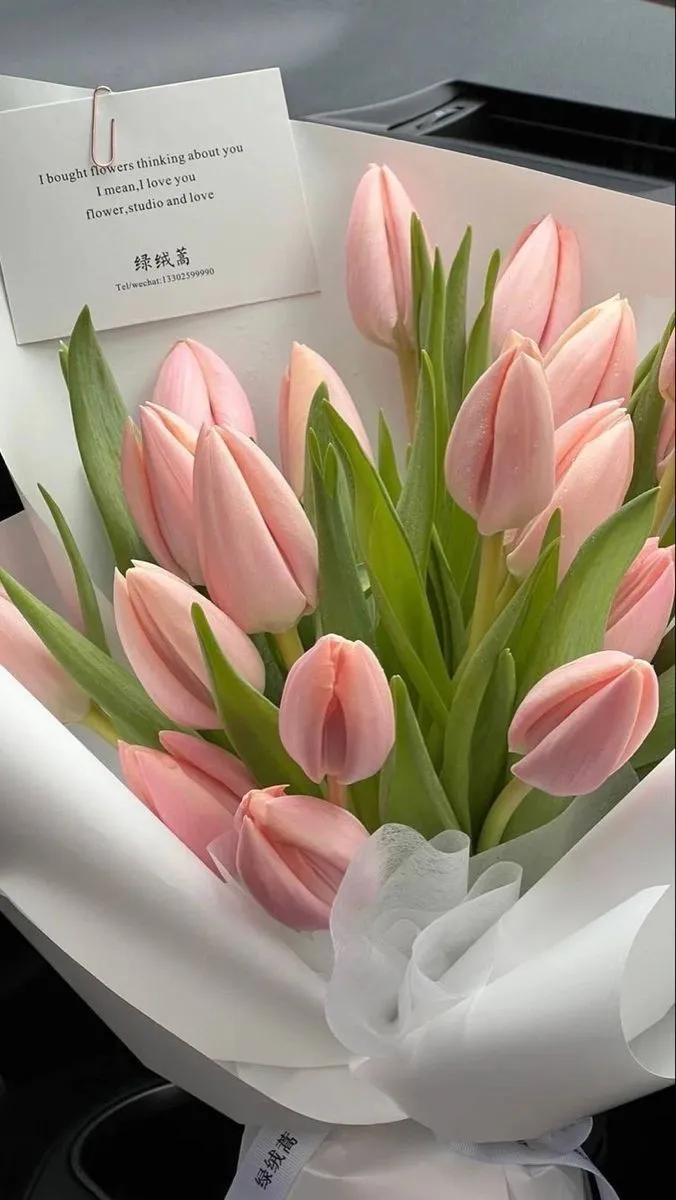 Bộ Sưu Tập 80+ Hình Nền Hoa Tulip Trendy Nhất 2025 hinh nen hoa tulip innhanh.pro .vn 98