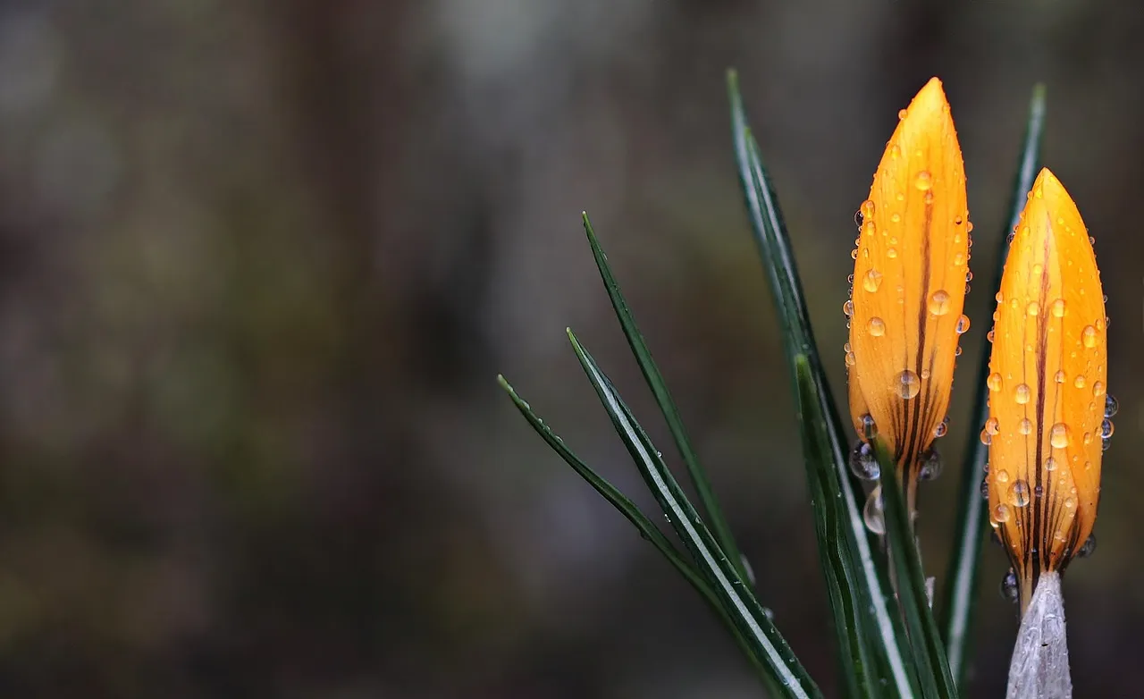 Hình nền máy tính ĐẸP & Độc Đáo: 199+ Mẫu (Full HD, 2K, 4K)! hinh nen may tinh innhanh.pro .vn 5