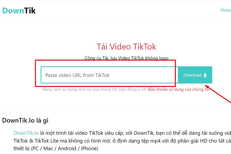 Tổng Hợp Cách Tải Video TikTok Về Android, iPhone, PC Dễ Nhất! 6 cách tải video TikTok trên máy tính (hình 12)