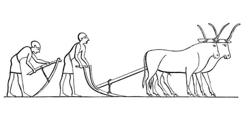 hinh-tap-to-bac-nong-dan-5 Hình tập tô bác nông dân (5)