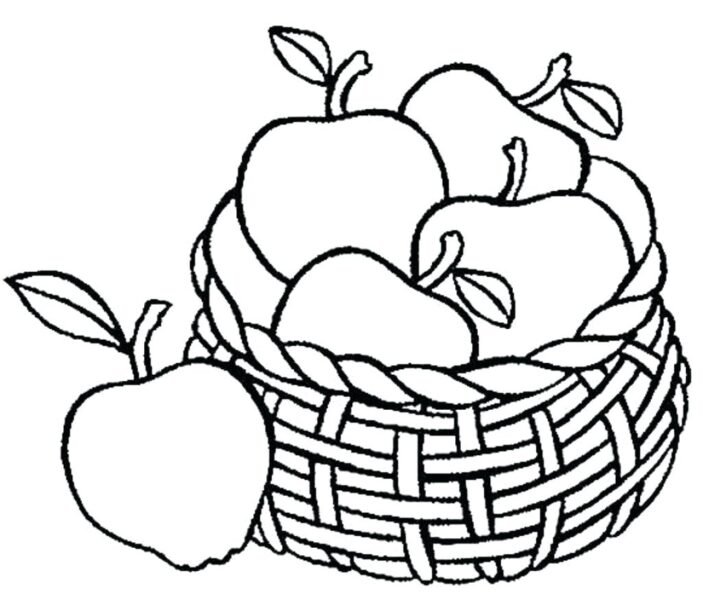 fruit basket coloring pages print Inspirational coloring Fruits Basket Coloring Pages